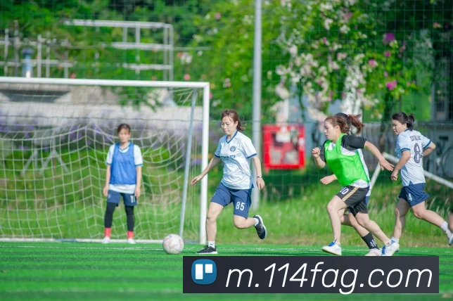 ag官网APP 封面图